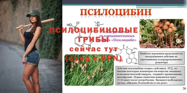 mdma Бородино