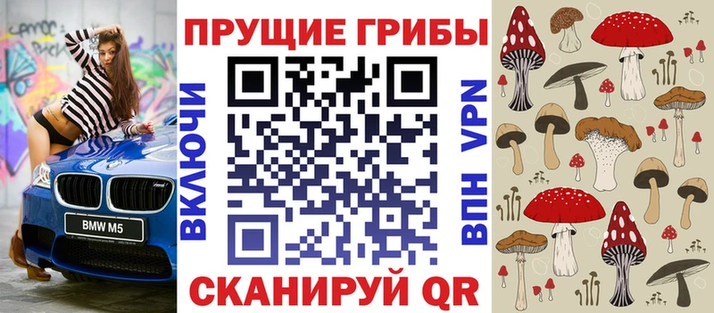 дарнет шоп  Прокопьевск  Галлюциногенные грибы Magic Shrooms 