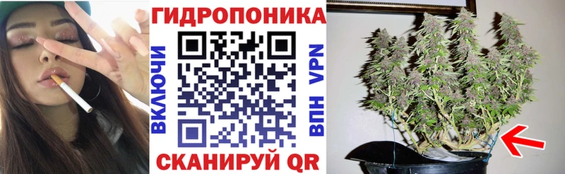 Марихуана семена  mega сайт  Прокопьевск 